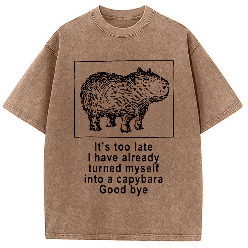 Modecanvas I Have Turned Myself Into A Capybara Washed T-Shirt-modecanvas