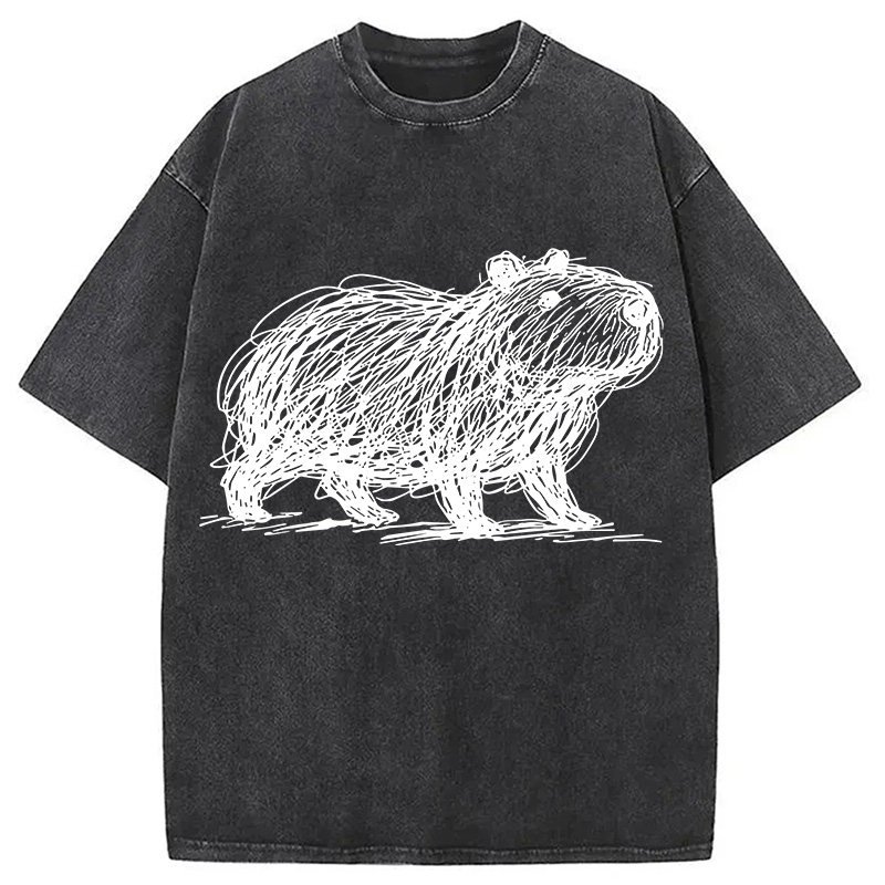 Modecanvas Minimalist Capybara Washed T-Shirt-modecanvas