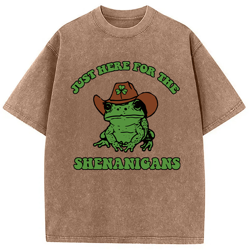 Modecanvas Here for the Shenanigans Washed T-Shirt
