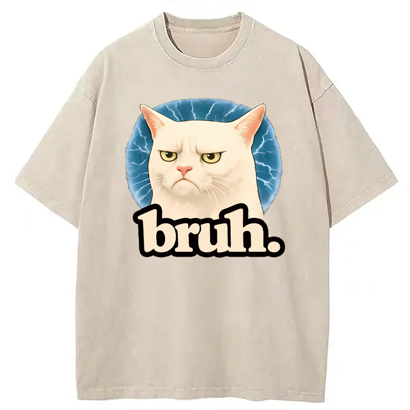 Modecanvas Bruh Cat Meme DTG Printing Washed T-Shirt