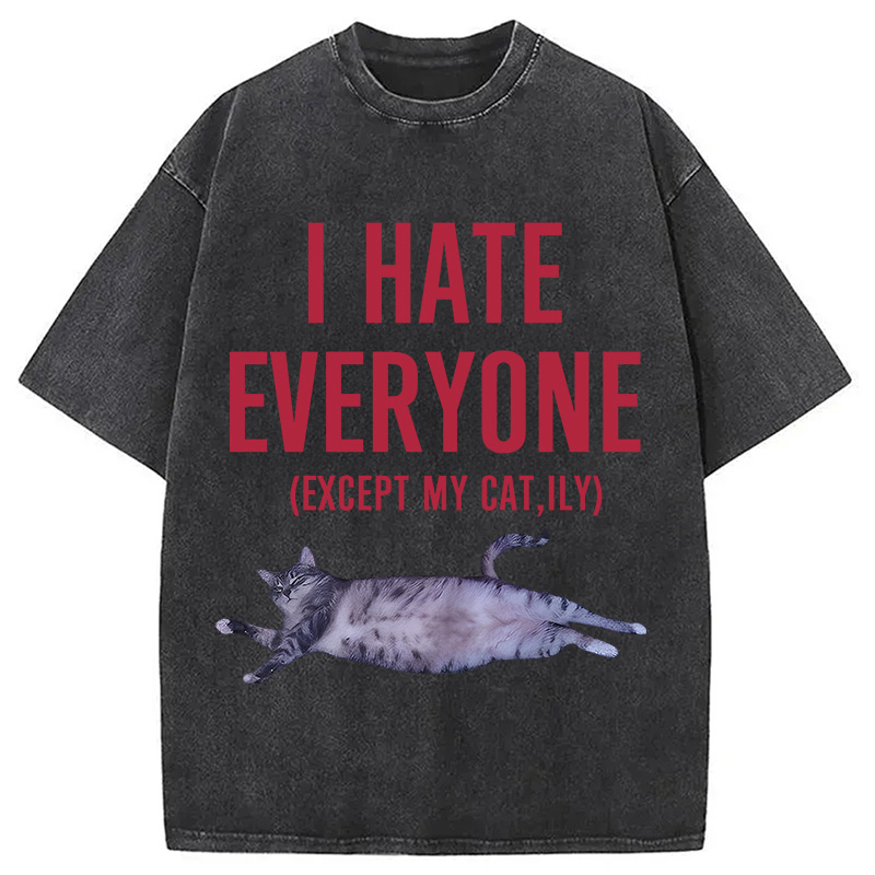 Modecanvas I Hate Everyone Cat Washed T-Shirt