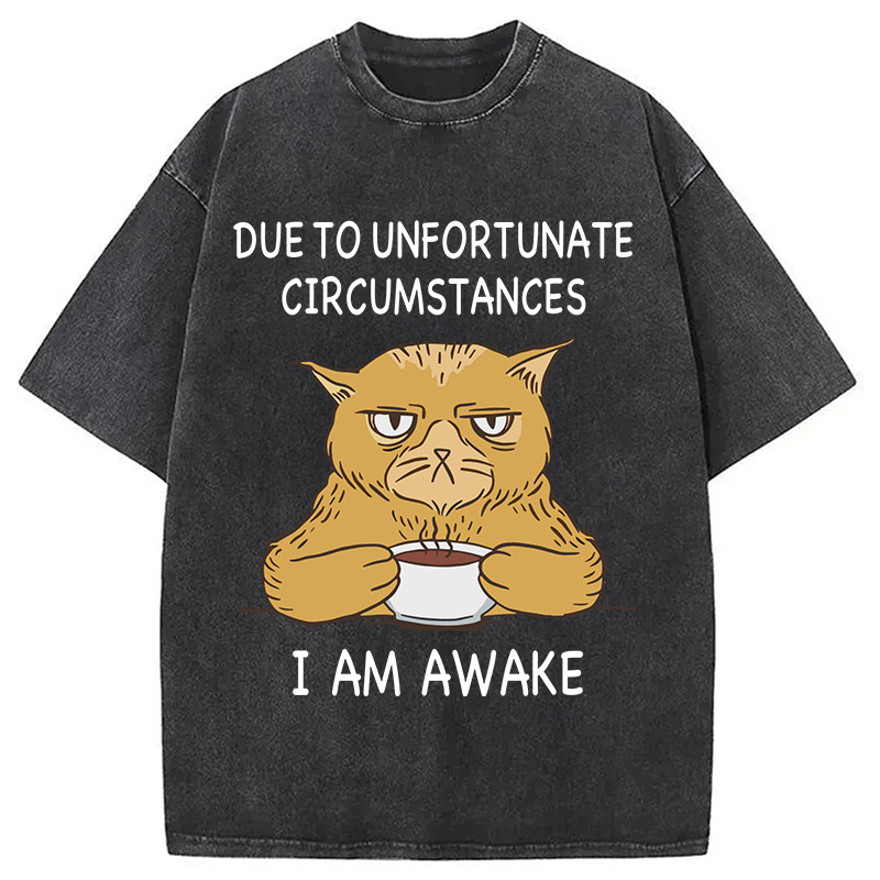 Modecanvas I Am Awake Cat Meme DTG Printing Washed T-Shirt