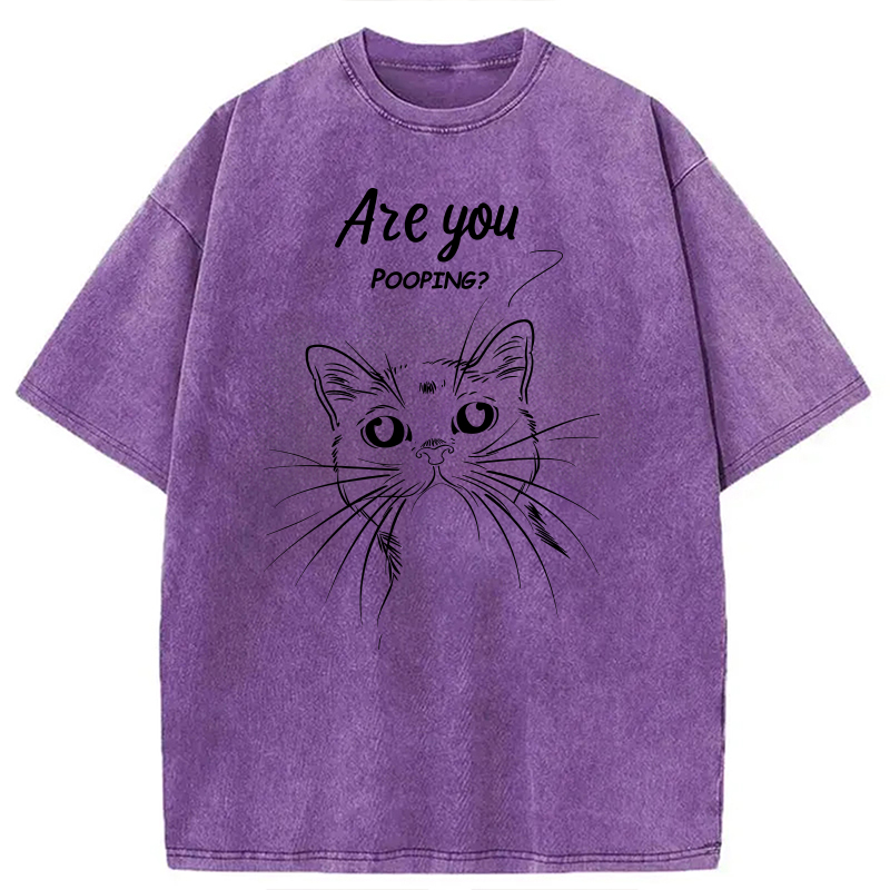 Modecanvas Black Cat Are You Pooping DTG Printing Washed T-Shirt