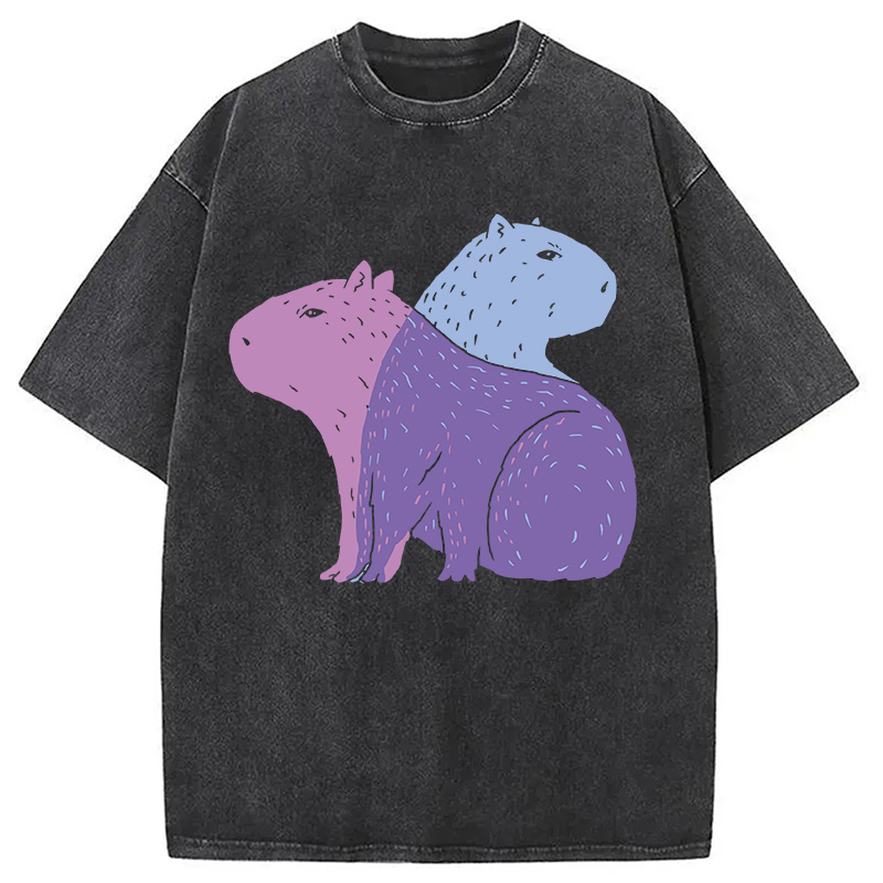 Modecanvas Double Capybaras DTG Printing Washed T-Shirt