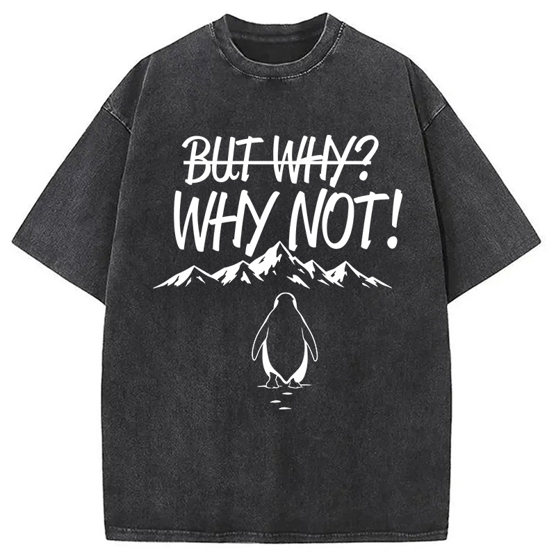 Modecanvas But Why/Why Not Penguin Meme DTG Printing Washed T-Shirt