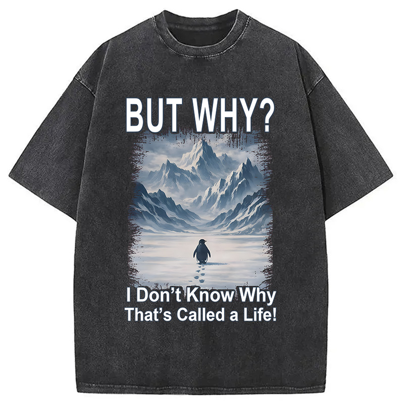 Modecanvas But Why Mountain Nihilist Penguin DTG Printing Washed T-Shirt-modecanvas