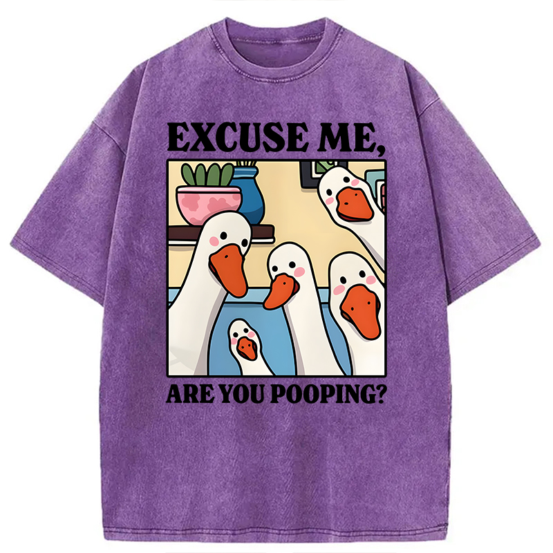 Modecanvas Are You Pooping Goose Meme DTG Printing Washed T-Shirt-modecanvas