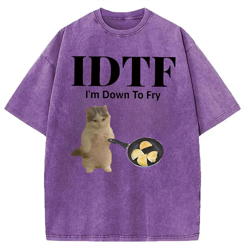 Modecanvas IDTF Pierogi DTG Printing Washed T-Shirt-modecanvas