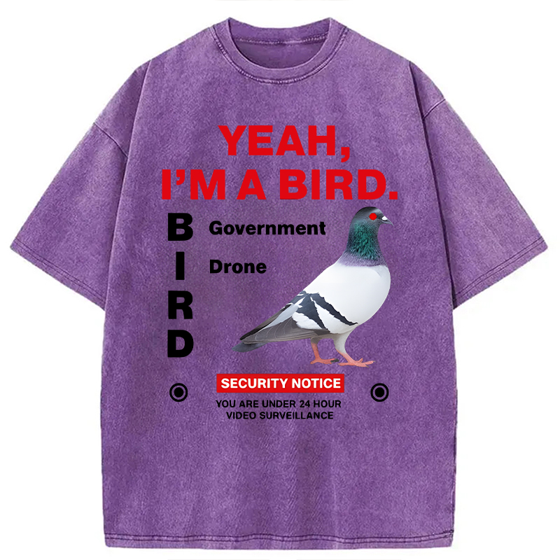 Modecanvas Government Funny Pigeon Puns DTG Printing Washed T-Shirt-modecanvas