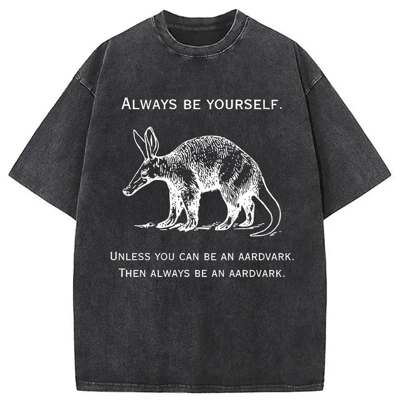 Modecanvas Always Be Yourself Meme DTG Printing Washed T-Shirt-modecanvas