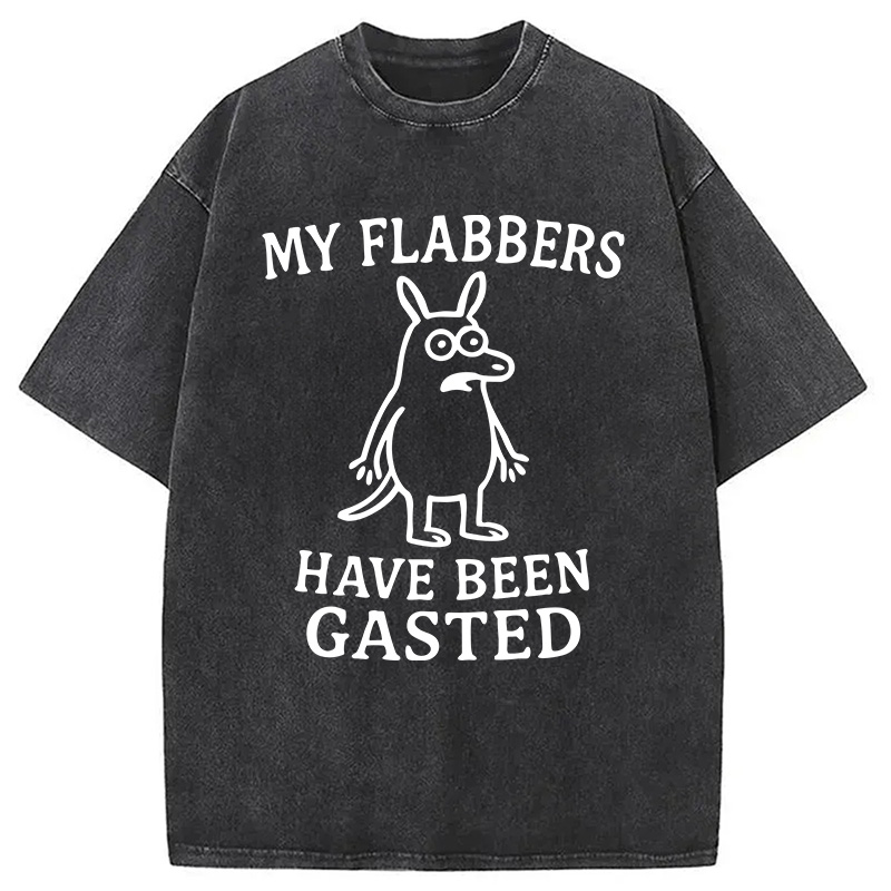 Modecanvas My Flabbers Have Been Gasted Funny Meme DTG Printing Washed T-Shirt-modecanvas