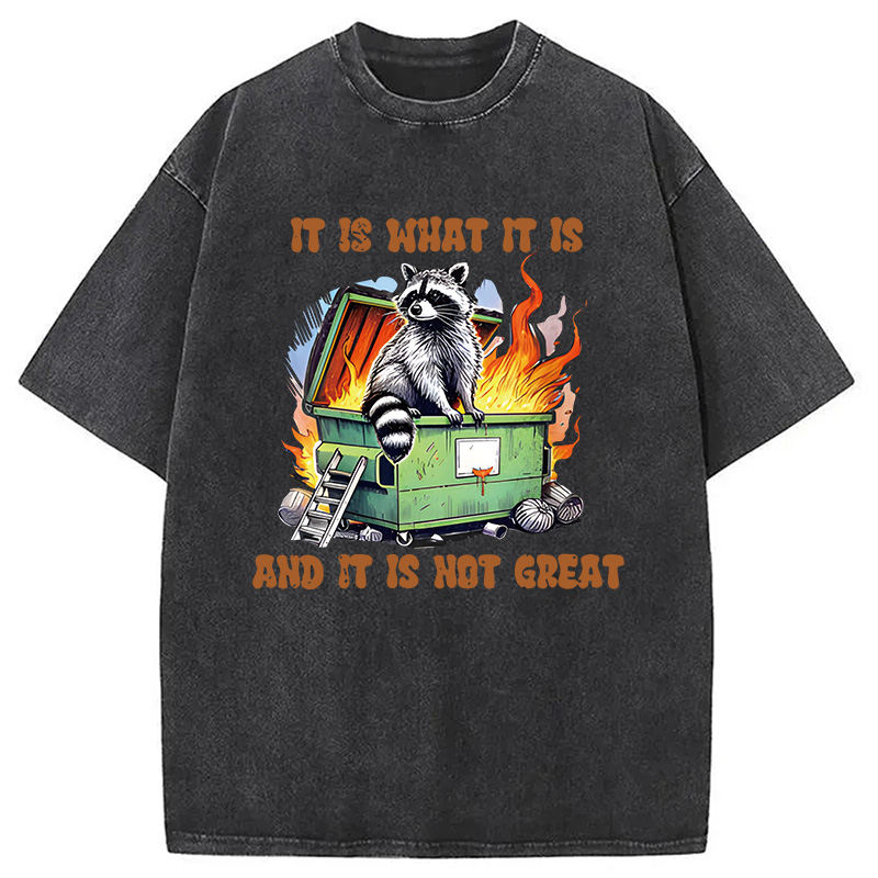 Modecanvas It is What Not Great Raccoon Meme DTG Printing Washed T-Shirt