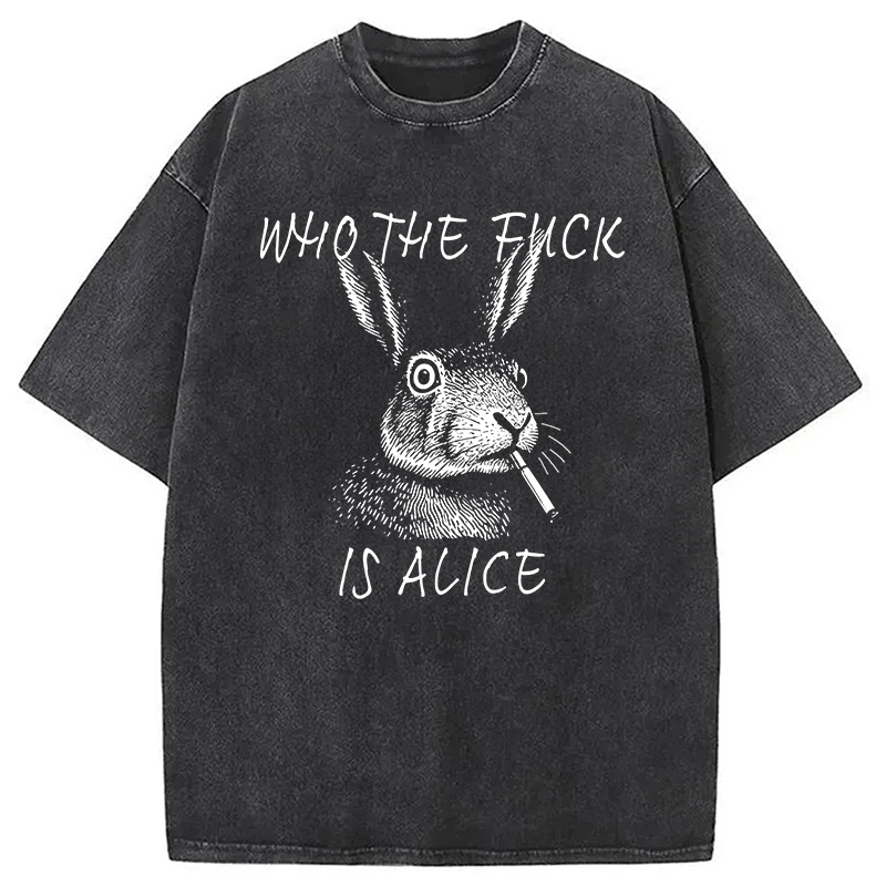 Modecanvas Who The Fck Is Alice Meme DTG Printing Washed T-Shirt