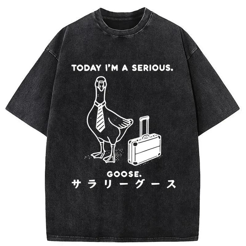 Modecanvas Hard Working Goose Washed T-Shirt
