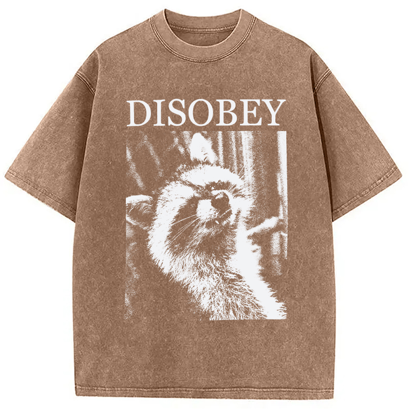 Modecanvas Disobey Raccoon DTG Printing Washed T-Shirt