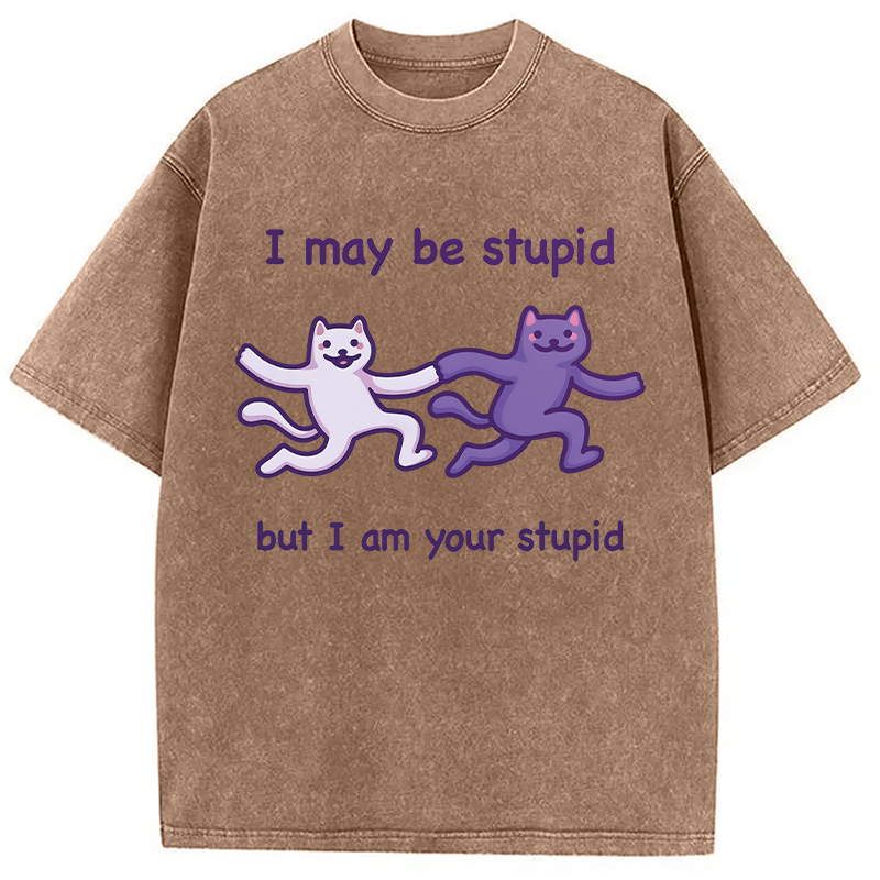 Modecanvas I Am Your Stupid DTG Printing Washed T-Shirt