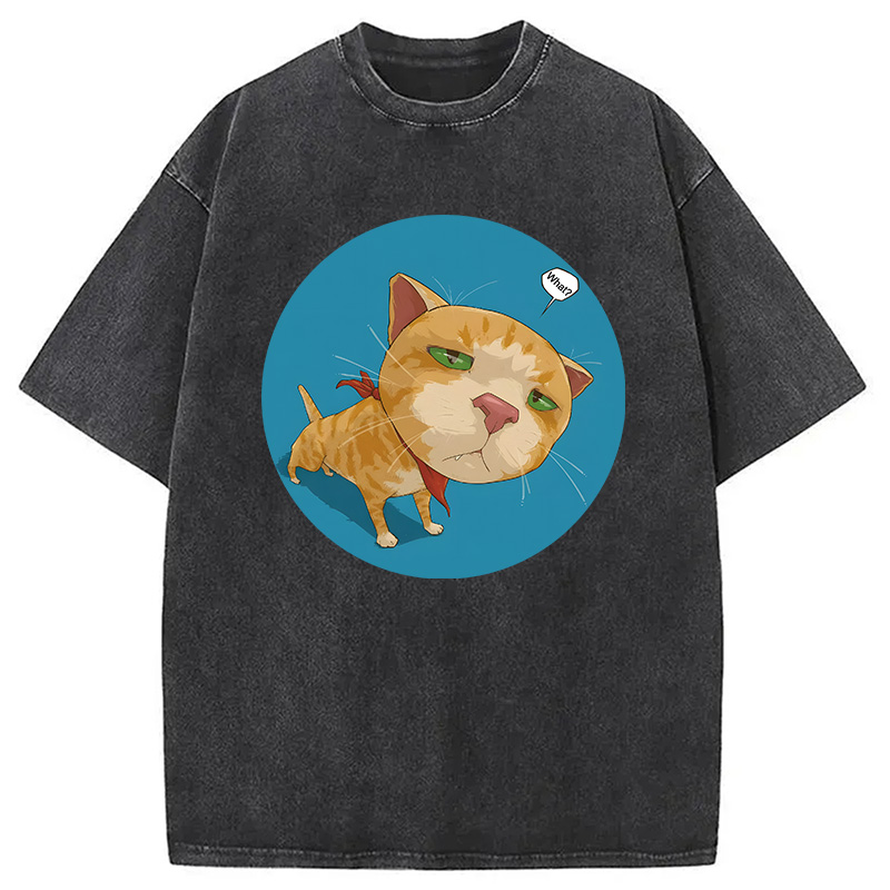 Modecanvas Confusing Cat DTG Printing Washed T-Shirt