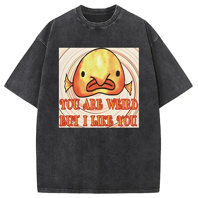 Modecanvas Odly Adorable Fish Meme DTG Printing Washed T-Shirt
