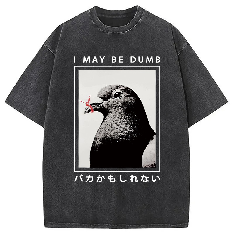 Modecanvas I May Be Dumb Funny Washed T-Shirt-modecanvas
