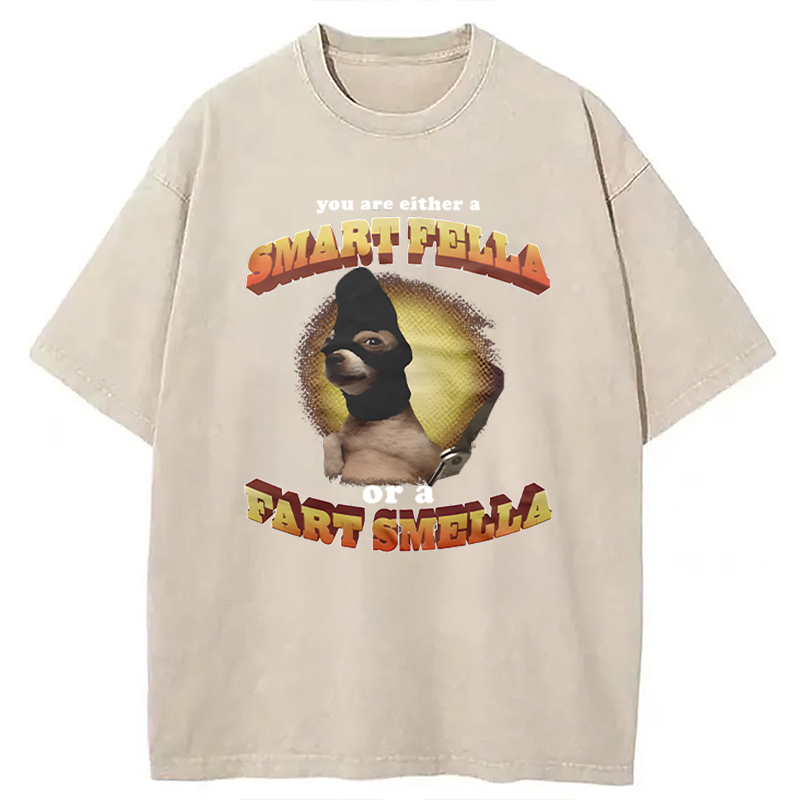 Modecanvas You Are Either A Smart Fella Or A Fart Smella Funny Meme DTG Printing Washed T-Shirt