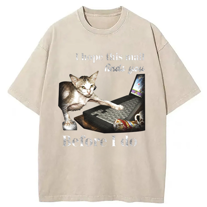Modecanvas Funny Send Mail Cat Meme DTG Printing Washed T-Shirt