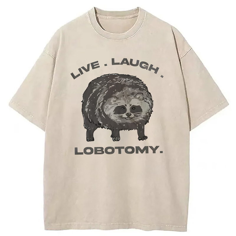 Modecanvas Live Laugh Lobotomy Funny Dolphin Meme DTG Printing Washed T-Shirt