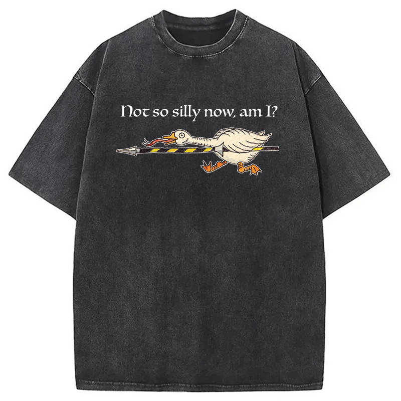 Modecanvas Not So Silly Now Am I? DTG Printing Washed T-Shirt