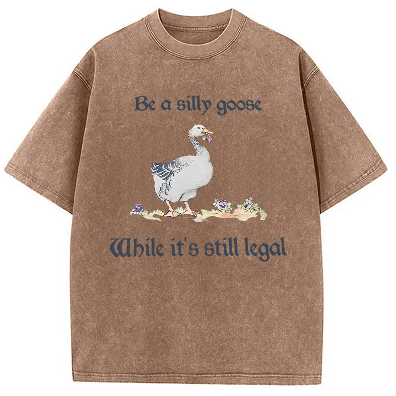 Modecanvas Be A Silly Goose DTG Printing Washed T-Shirt