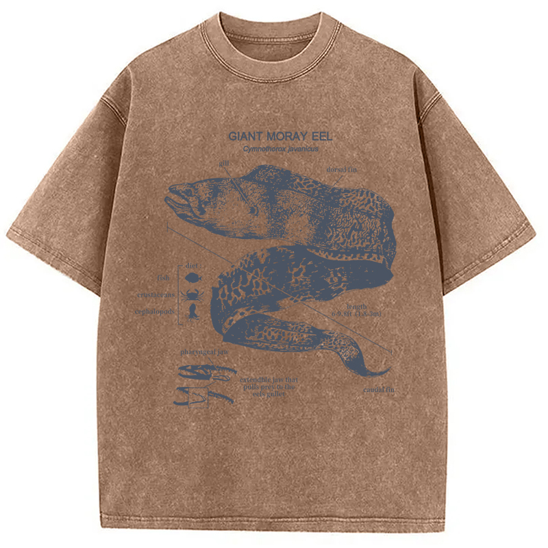 Modecanvas Moray Eel Anatomy Vintage DTG Printing Washed T-Shirt
