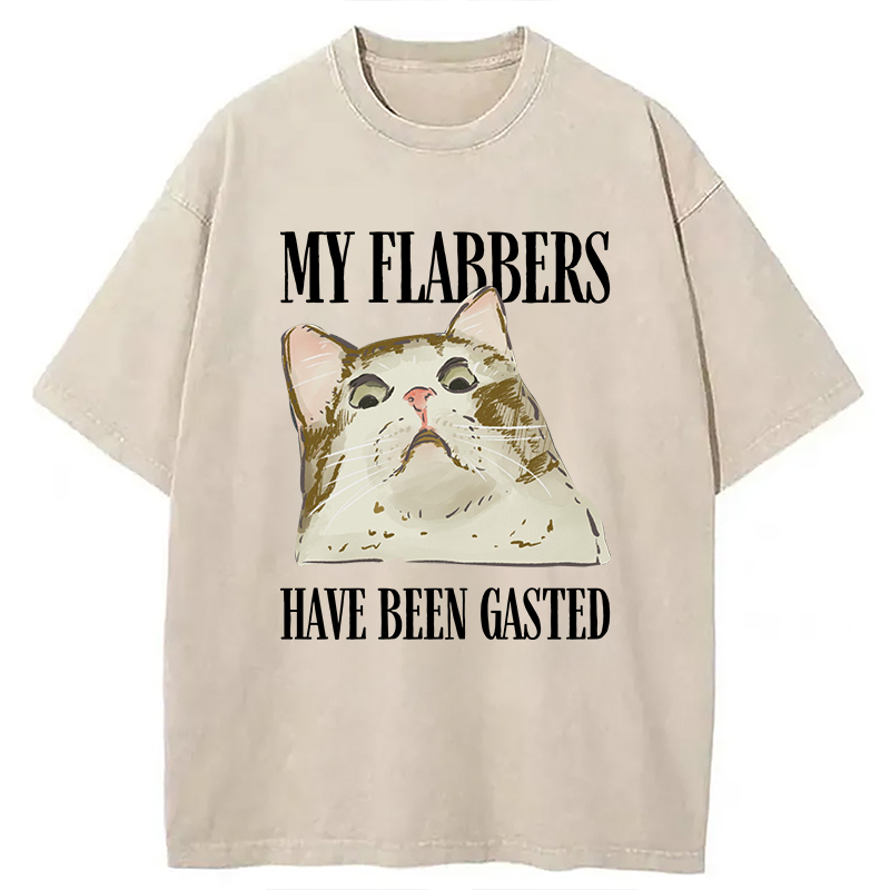 Modecanvas My Flabbers Have Been Gasted Cat Meme DTG Printing Washed T-Shirt