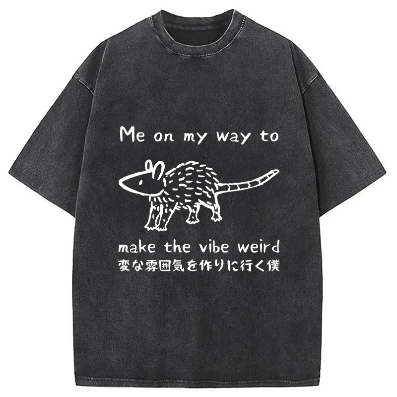 Modecanvas Making The Vibe Weird Washed T-Shirt
