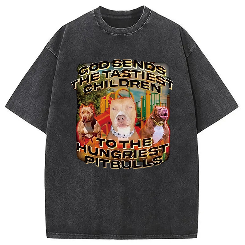 Modecanvas God Sends The Tastiest Children To The Hungriest Pitbulls DTG Printing Washed T-Shirt