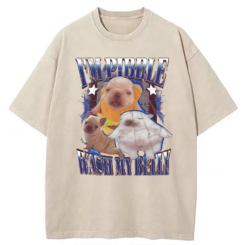 Modecanvas Everything is illegal DTG Printing Washed T-Shirt