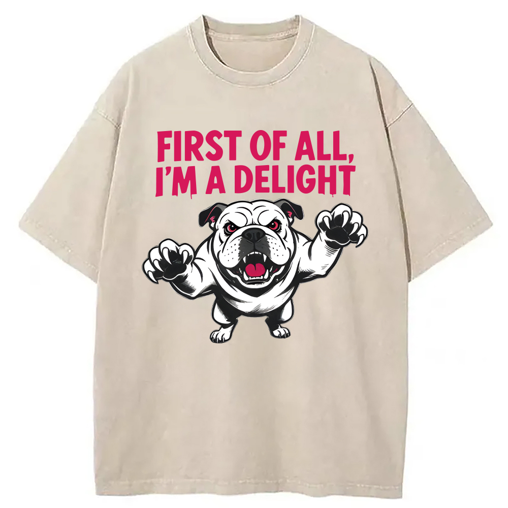 Modecanvas Fierce Bulldog Delight DTG Printing Washed T-Shirt