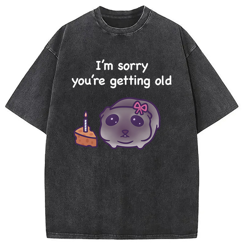 Modecanvas Sad Hamster Birthday Meme DTG Printing Washed T-Shirt