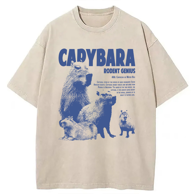 Modecanvas Capybara Vintage DTG Printing Washed T-Shirt