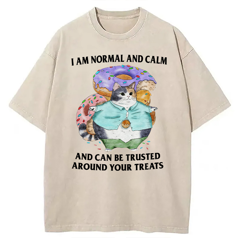 Modecanvas I Can Be Trusted Around Your Treats DTG Printing Washed T-Shirt