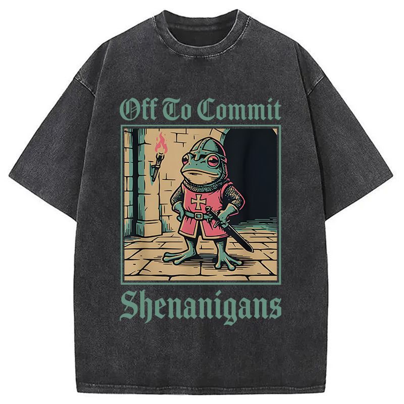 Modecanvas Off To Commit Shenanigans DTG Printing Washed T-Shirt