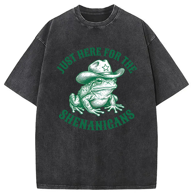 Modecanvas Just Here for the Shenanigans Frog DTG Printing Washed T-Shirt