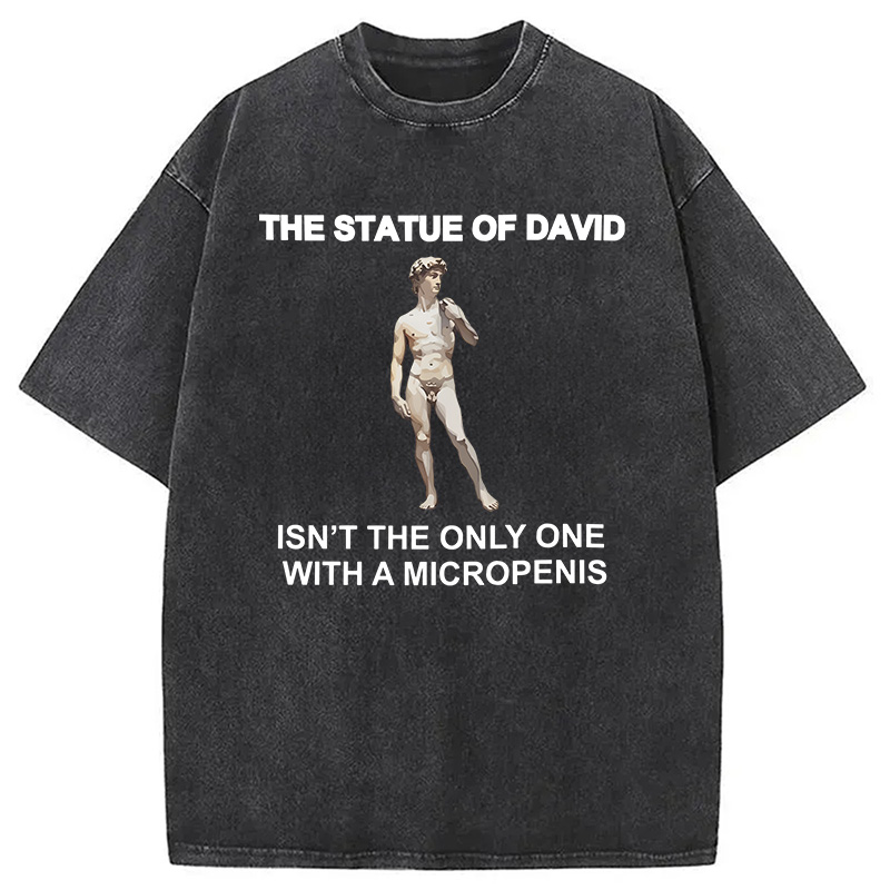 Modecanvas The Statue Of David Meme DTG Printing Washed T-Shirt