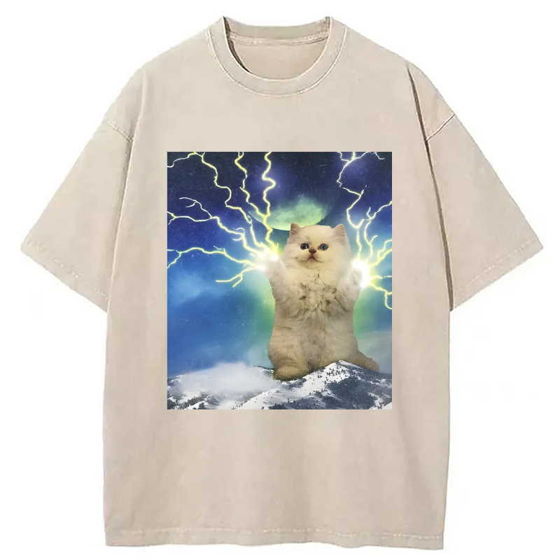 Modecanvas Lightning Cat DTG Printing Washed T-Shirt