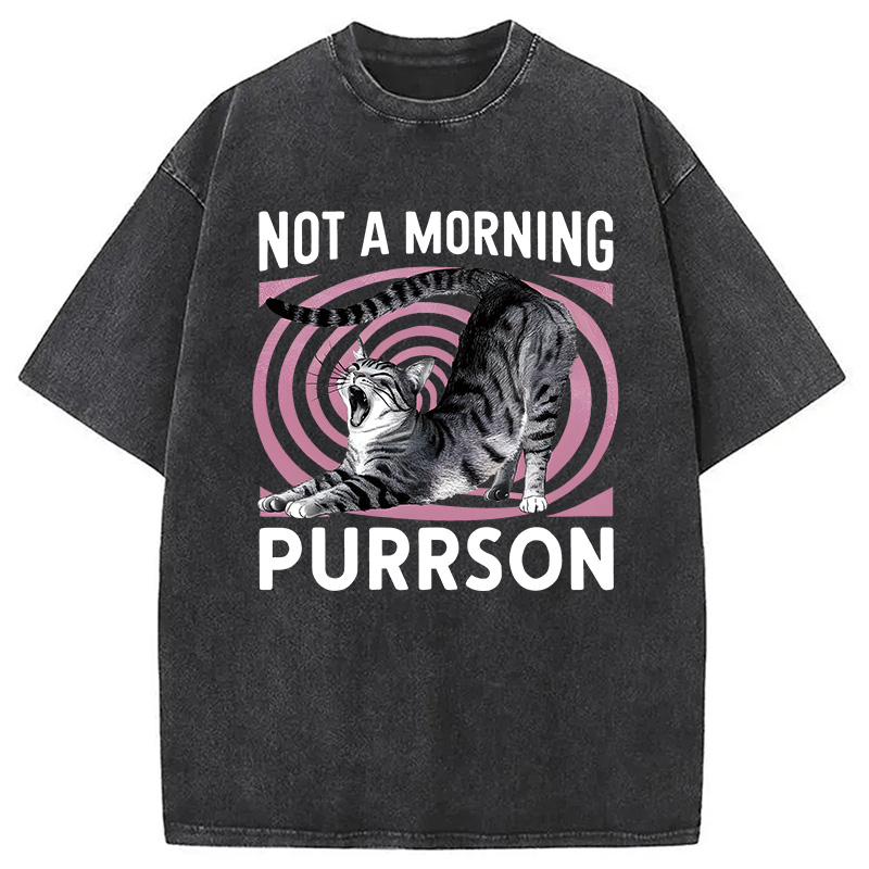 Modecanvas Not A Morning Purrrson Cat DTG Printing Washed T-Shirt
