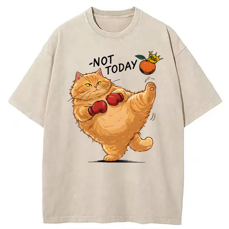 Modecanvas Boxing Cat DTG Printing Washed T-Shirt
