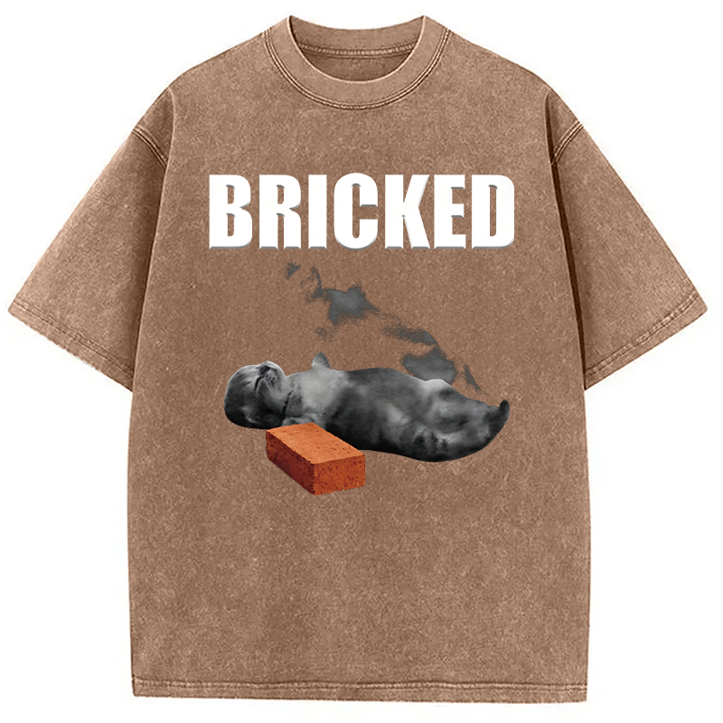 Modecanvas Bricked Funny Cat Knocked Out DTG Printing Washed T-Shirt