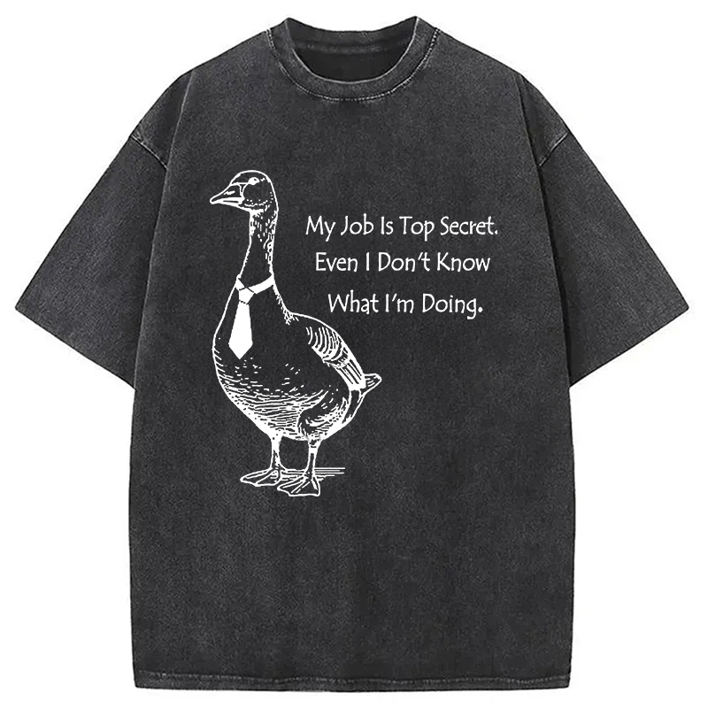 Modecanvas Serious Goose Funny Washed T-Shirt