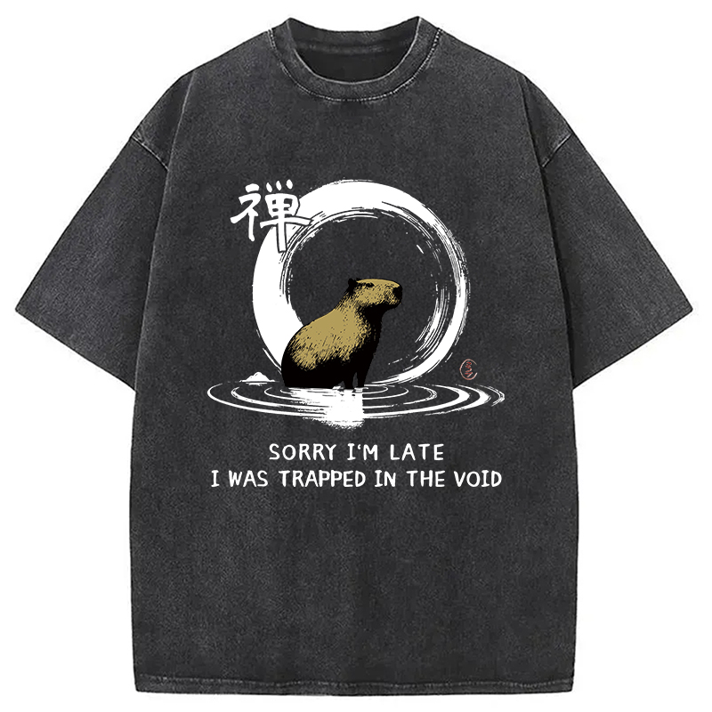 Modecanvas Zen Capybara Was Trapped In The Void Washed T-Shirt