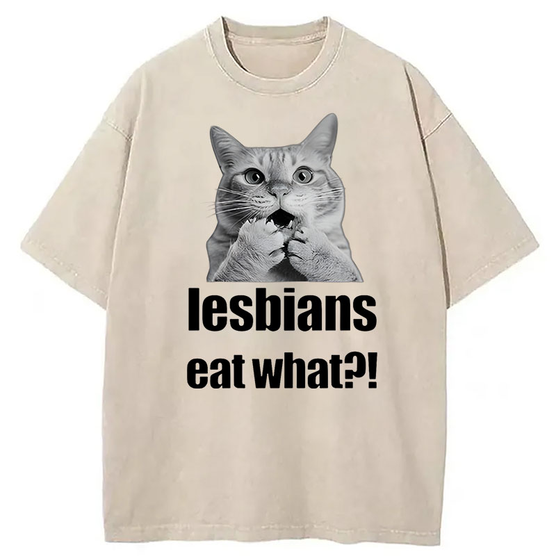 Modecanvas Lesbians Eat What? Funny Gay Joke DTG Printing Washed T-Shirt