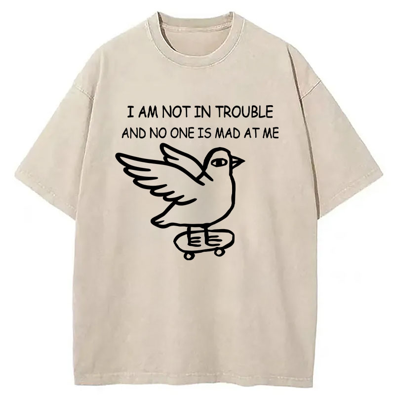 Modecanvas Bird Pretends It Did Nothing Wrong DTG Printing Washed T-Shirt