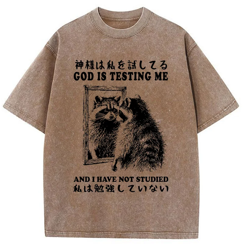Modecanvas Raccoon Not Studied Washed T-Shirt