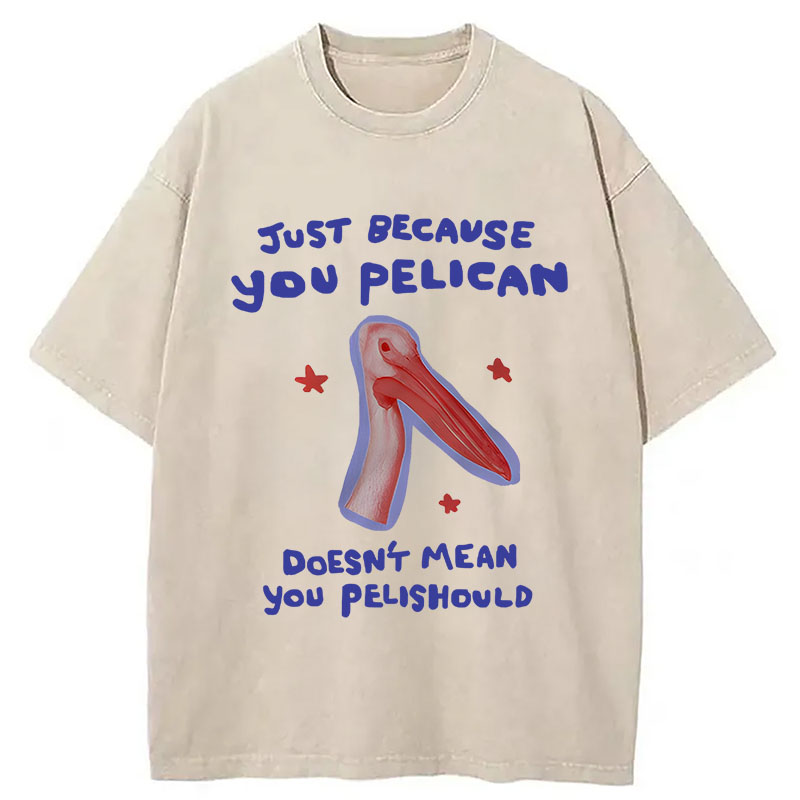 Modecanvas Just Because You Pelican DTG Printing Washed T-Shirt